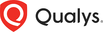 qualys logo icon